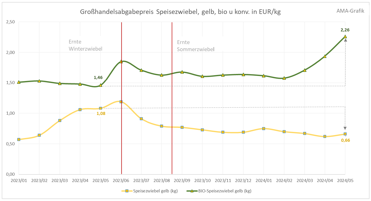 Speisezwiebel Großhandelsabgabepreis