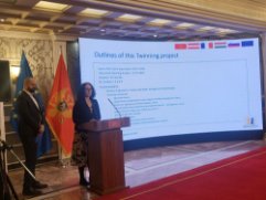 Ms. Maria Rath (RTA, AT), Mr. Igor Nisavic (RTA counterpart, MNE)